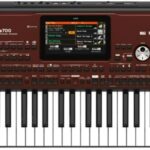 KORG Pa700 ORIENTAL - 61 Keys Professional Arranger