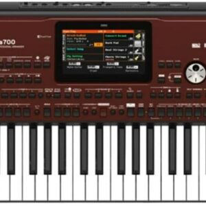 KORG Pa700 ORIENTAL - 61 Keys Professional Arranger